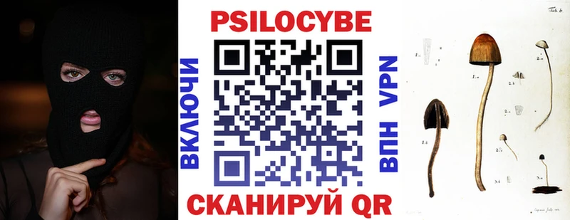 Псилоцибиновые грибы мицелий  Белая Калитва 